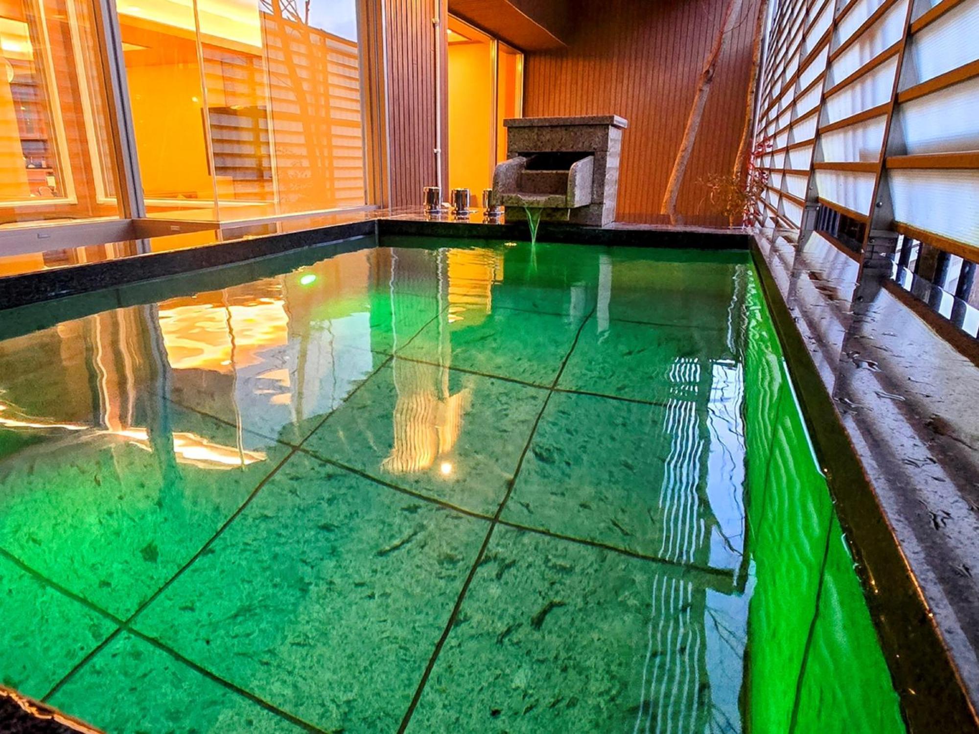 Ryokan Kinugawa Plaza